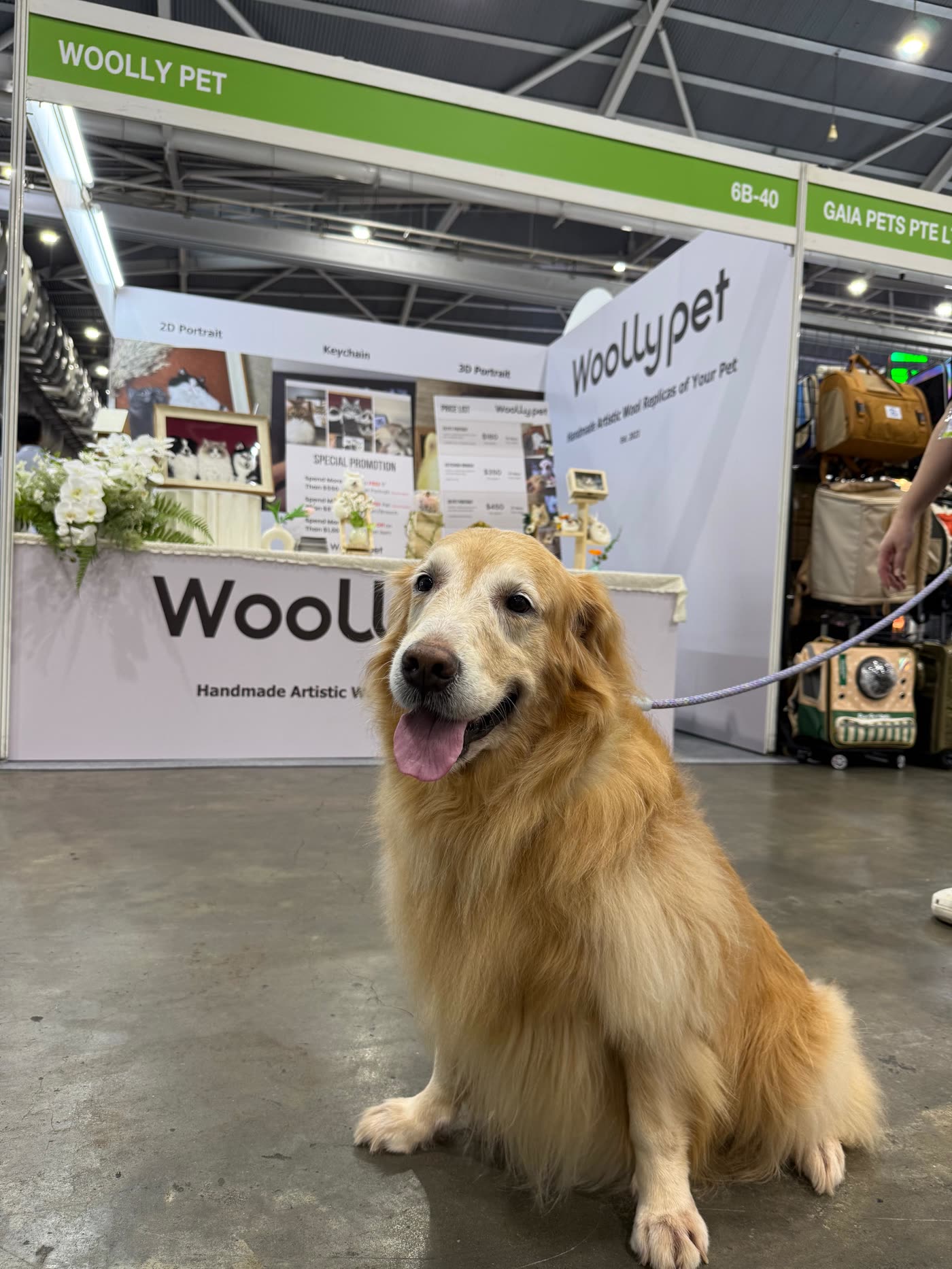 A golden retriever sitting in front of the Woolly Pet booth at Singapore Pet Expo 2025